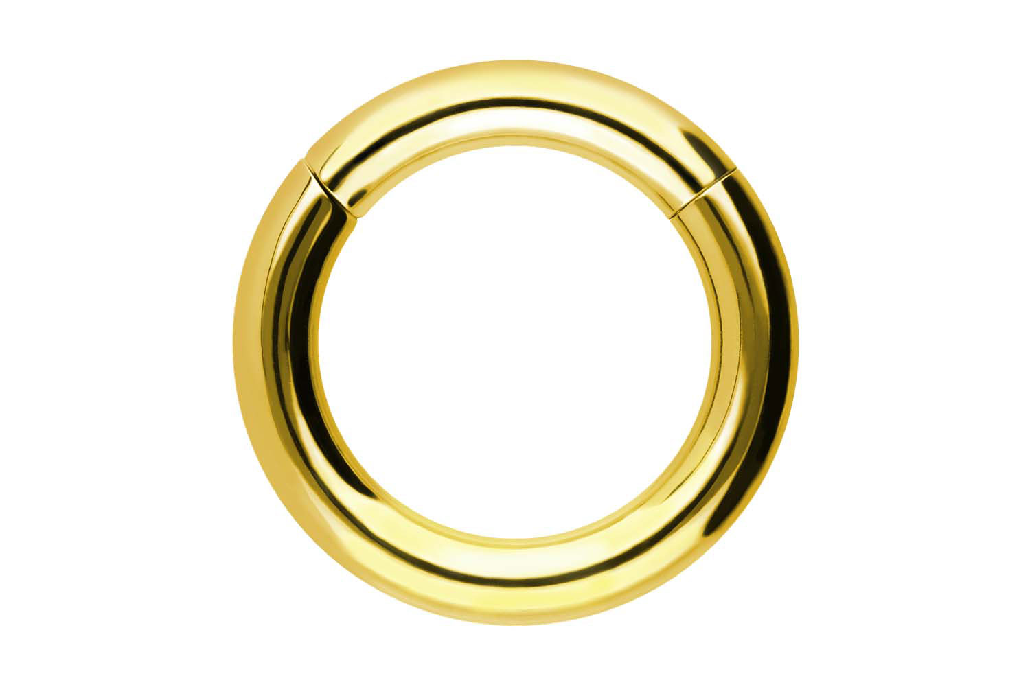 Chirurgenstahl Segmentring Clicker Piercing